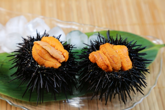 uni