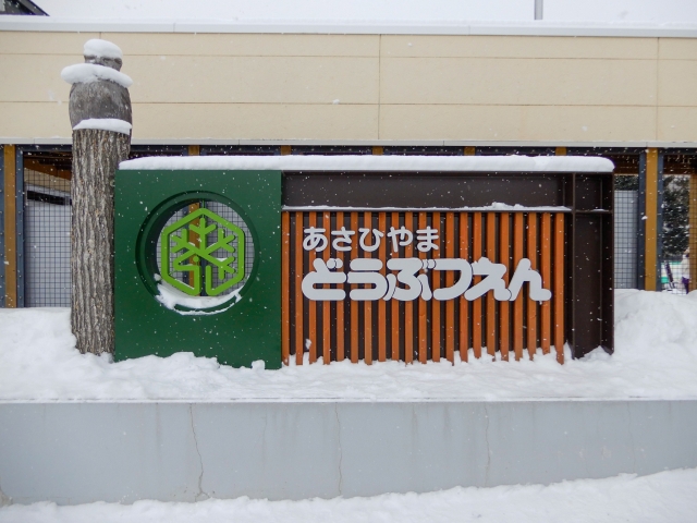asahiyama zoo