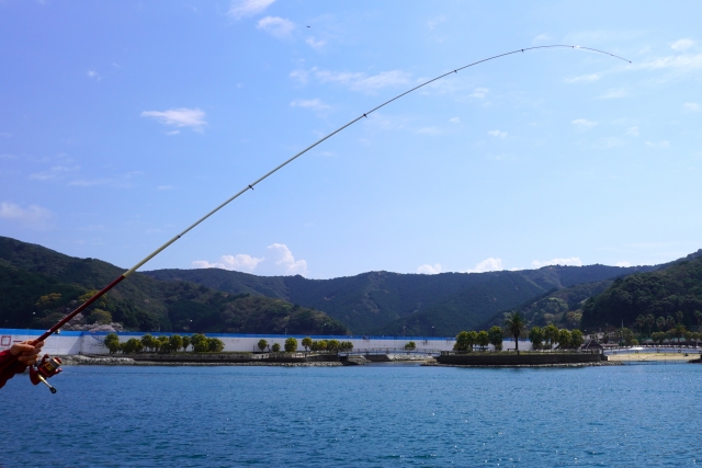 fishing