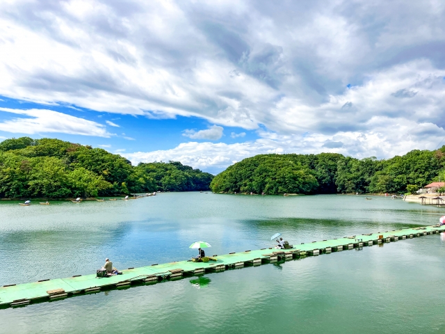fishing